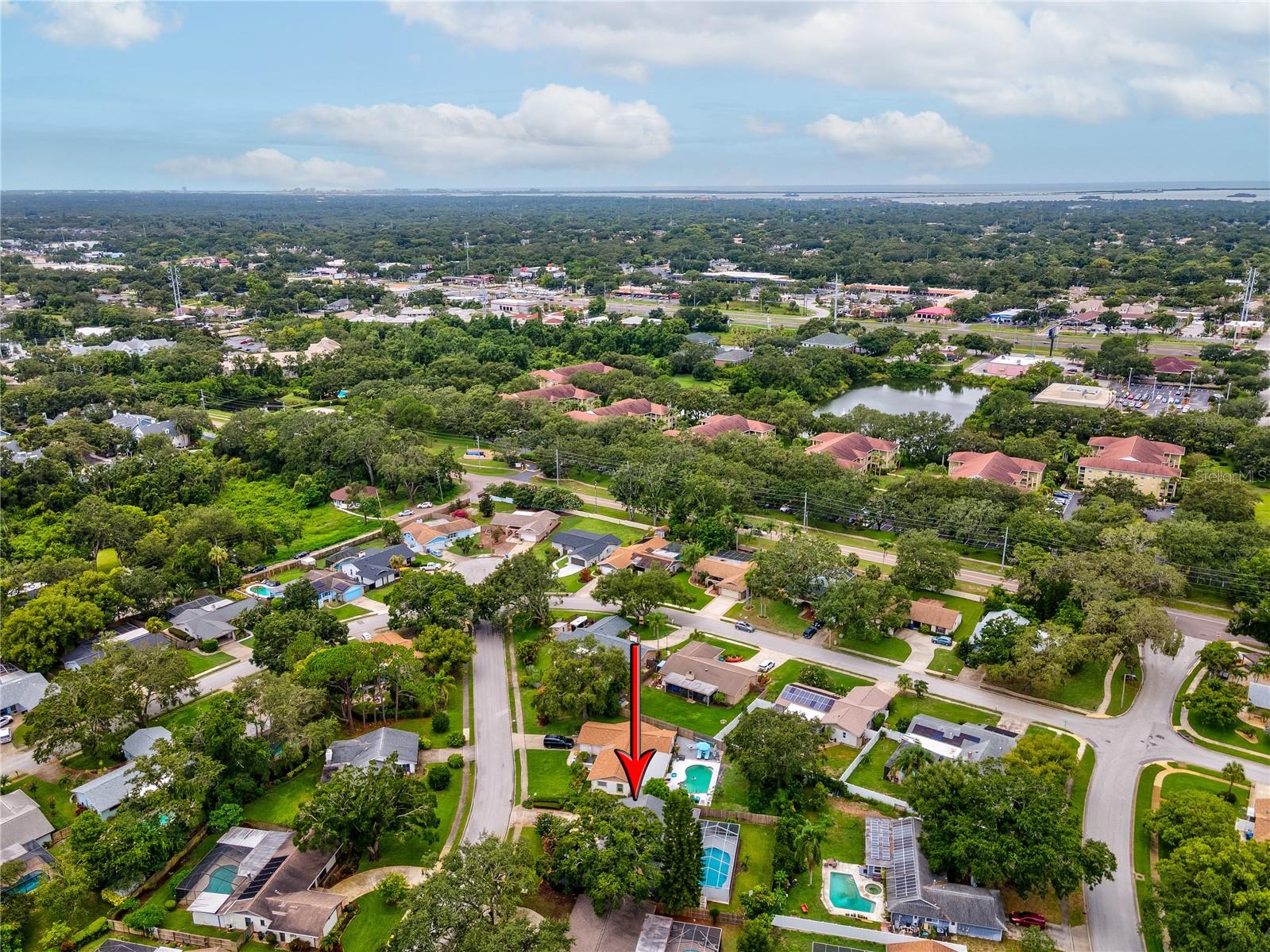 2827 OAK TREE LN, PALM HARBOR, FL, 34684