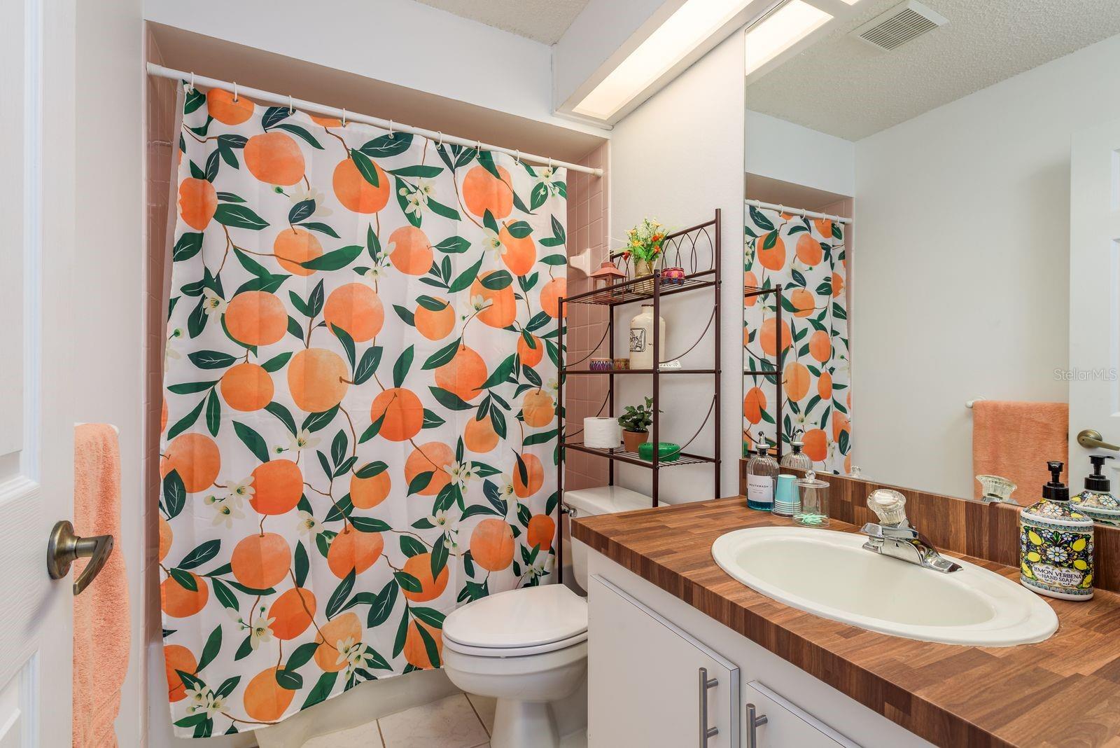 13825 LEROUX DR, HUDSON, FL, 34669