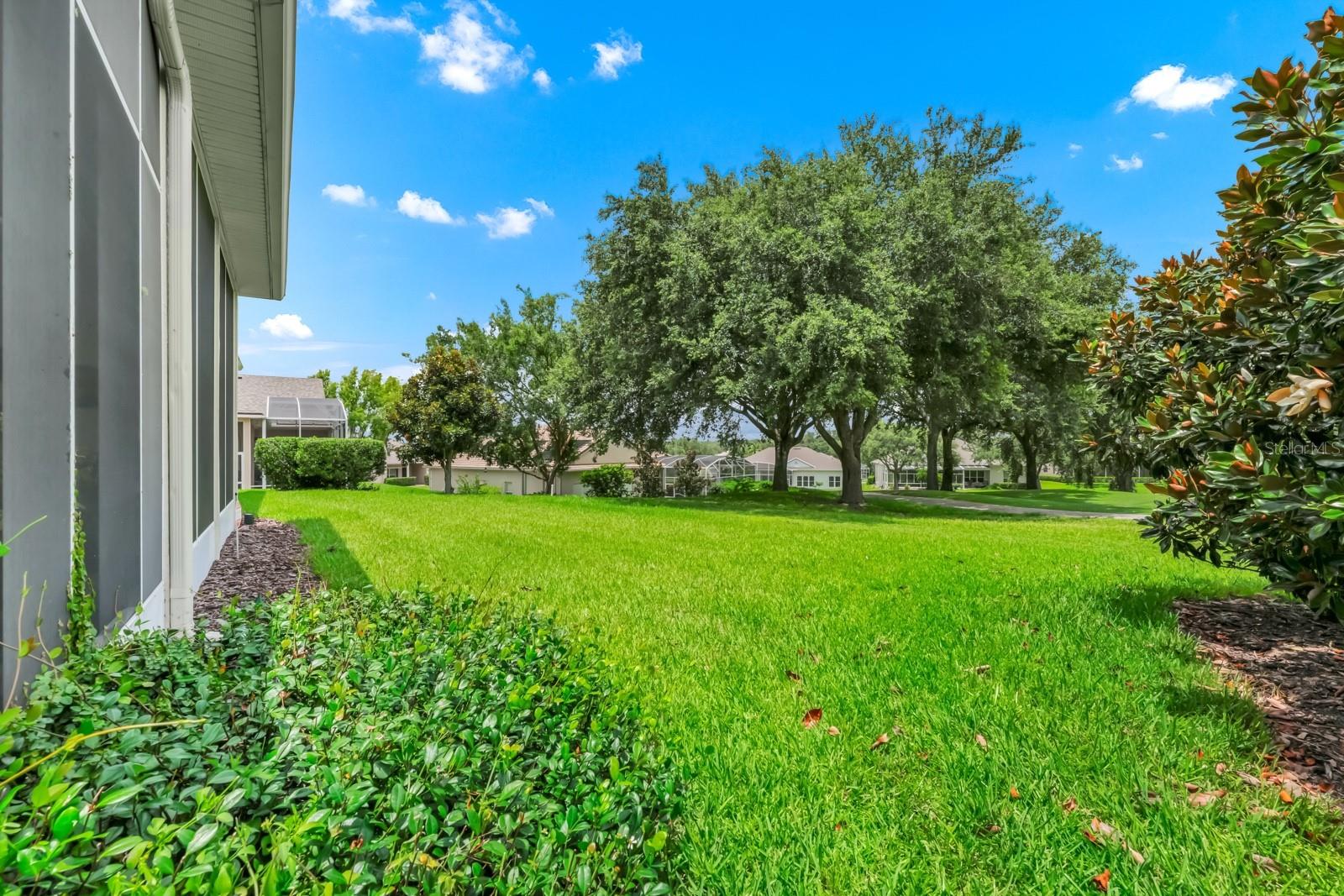 785 HAWKS BLUFF, CLERMONT, FL, 34711