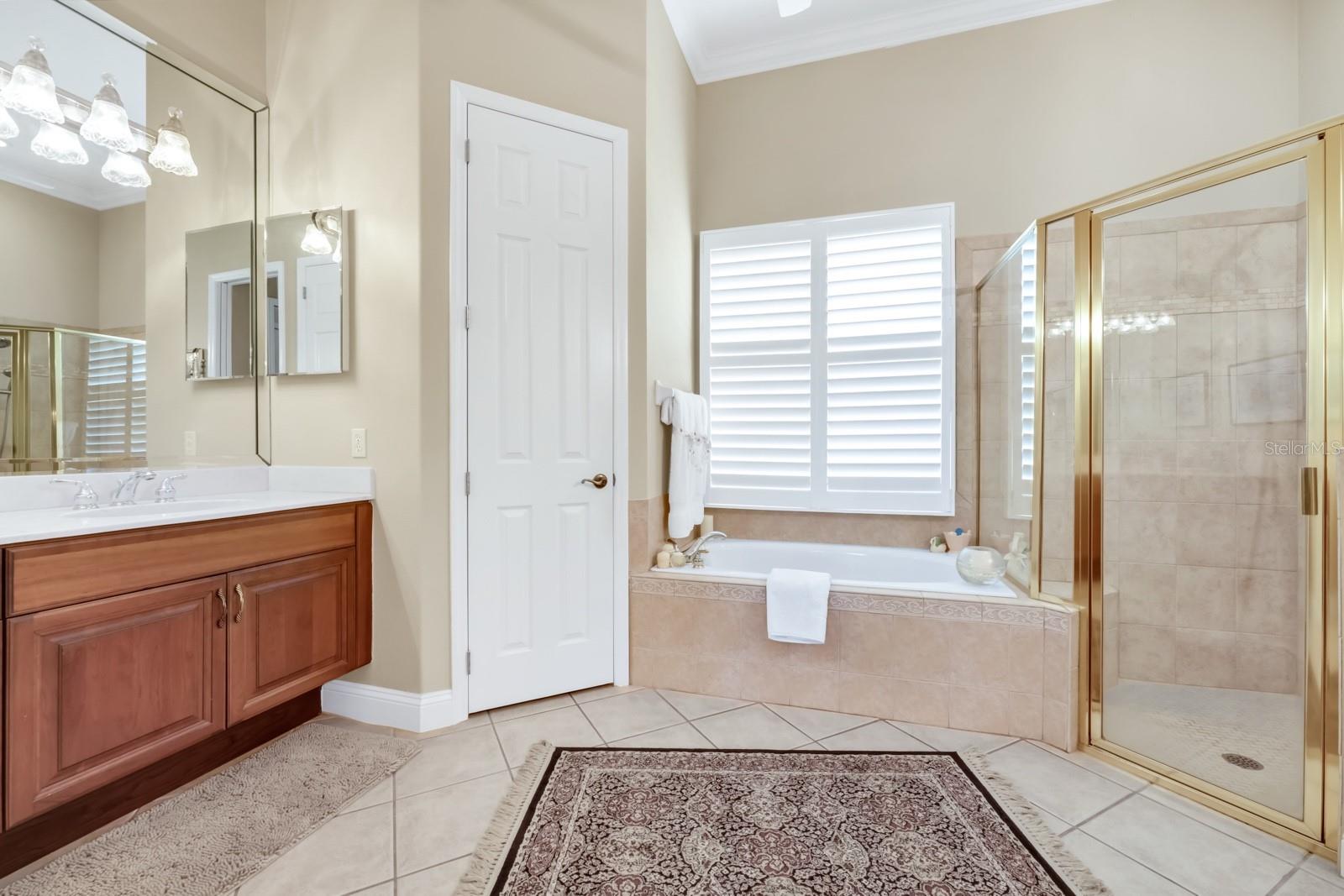 785 HAWKS BLUFF, CLERMONT, FL, 34711