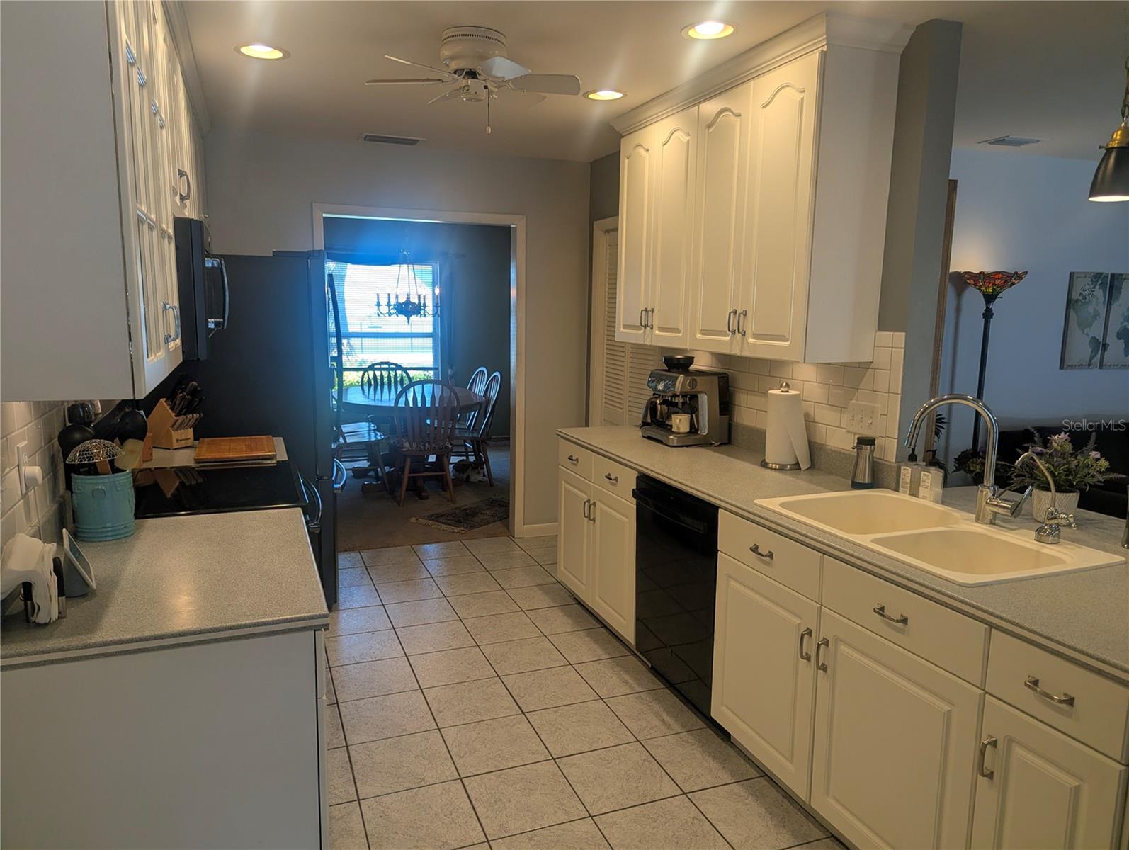 Kitchen sink and countertop