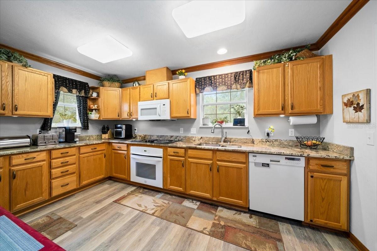 203 NW HWY 441, MICANOPY, FL, 32667