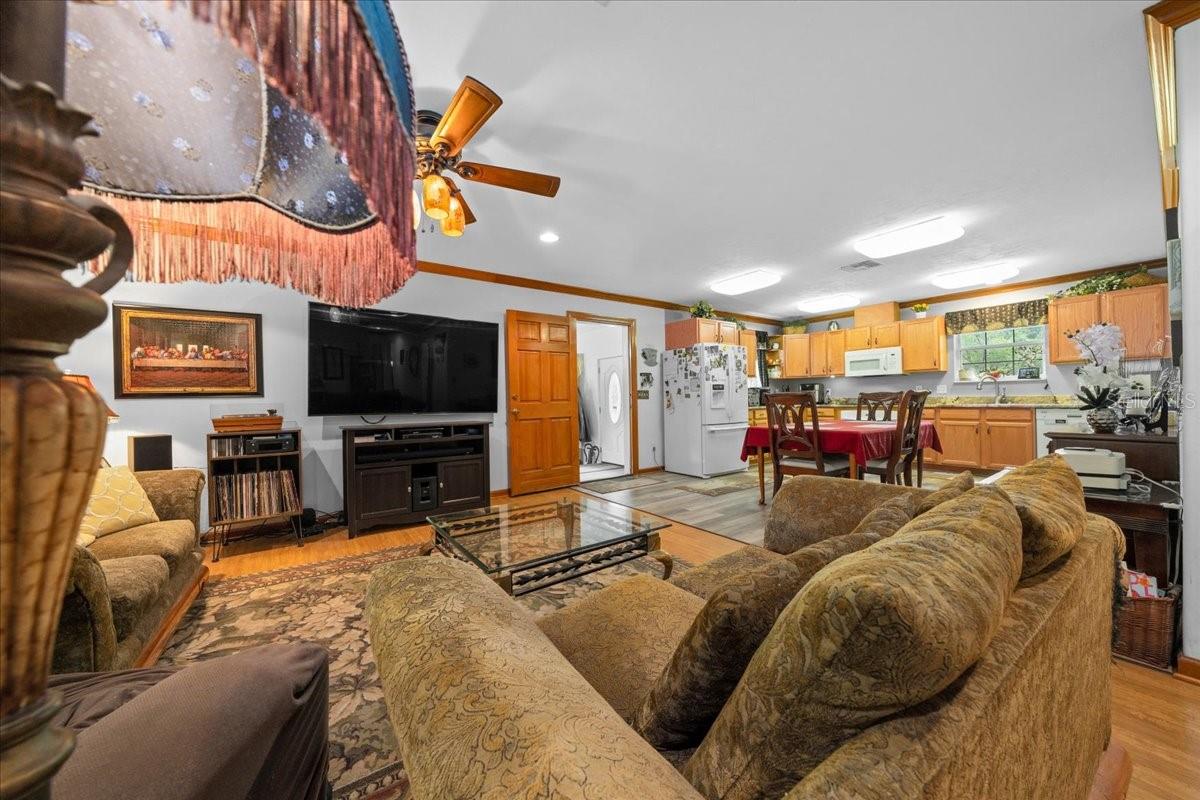 203 NW HWY 441, MICANOPY, FL, 32667