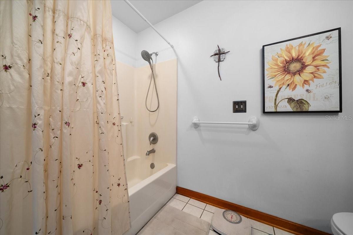 203 NW HWY 441, MICANOPY, FL, 32667