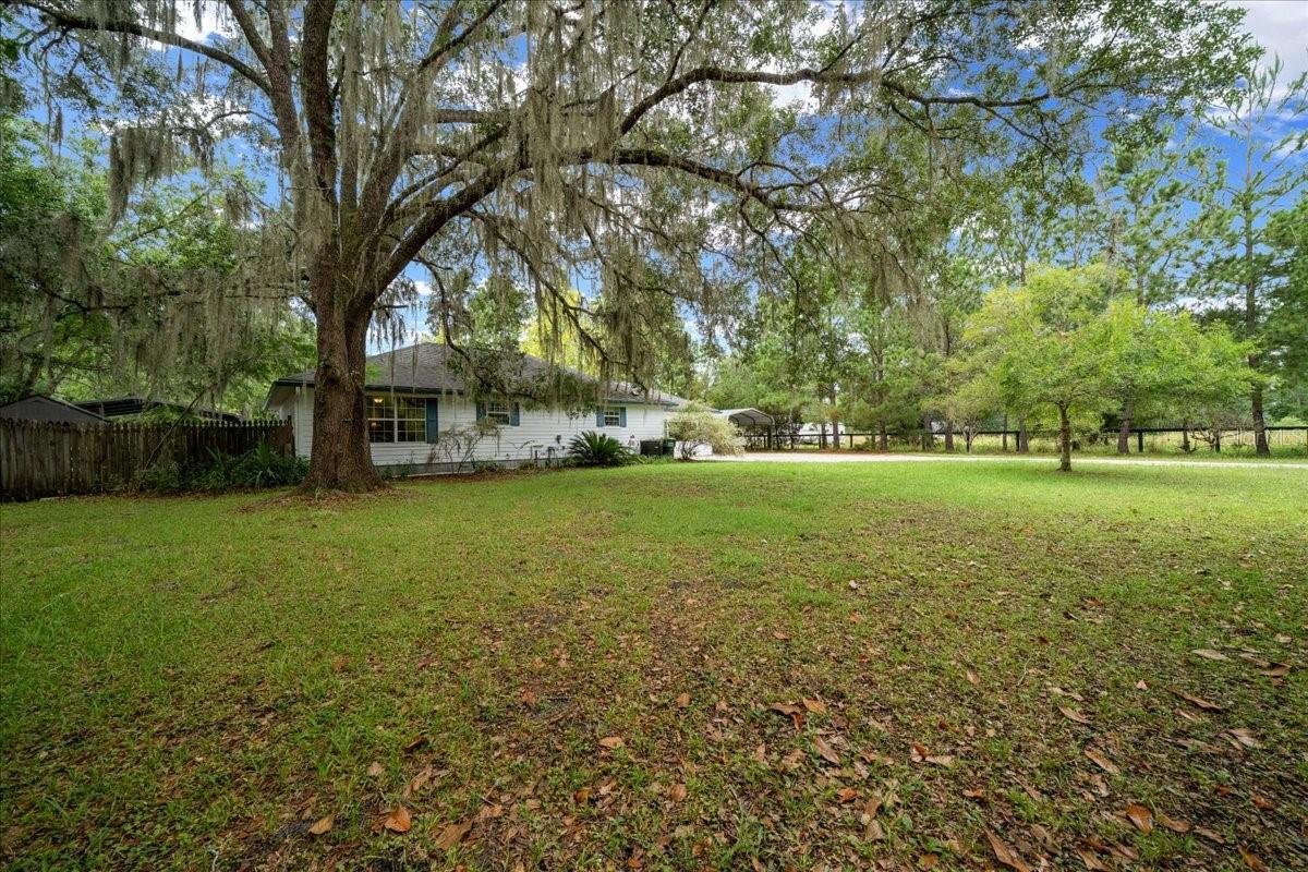 203 NW HWY 441, MICANOPY, FL, 32667