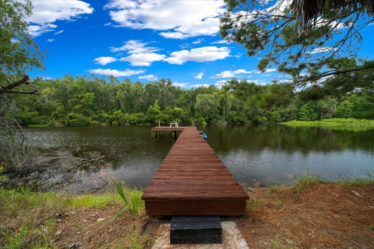 203 NW HWY 441, MICANOPY, FL, 32667