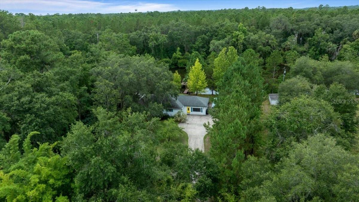 203 NW HWY 441, MICANOPY, FL, 32667