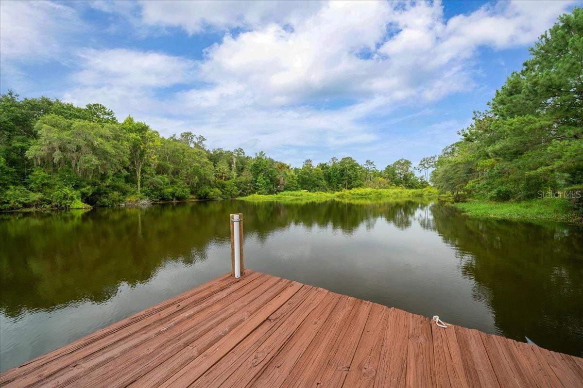 203 NW HWY 441, MICANOPY, FL, 32667