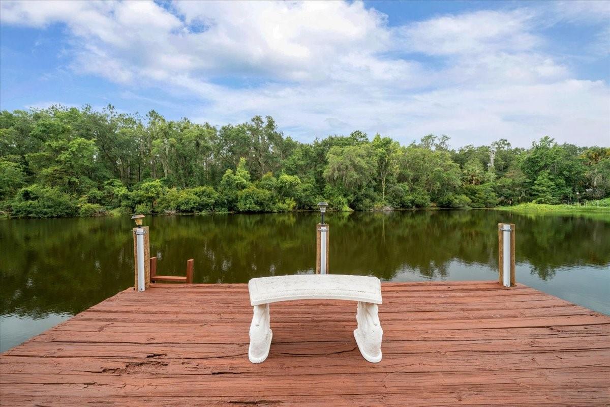 203 NW HWY 441, MICANOPY, FL, 32667