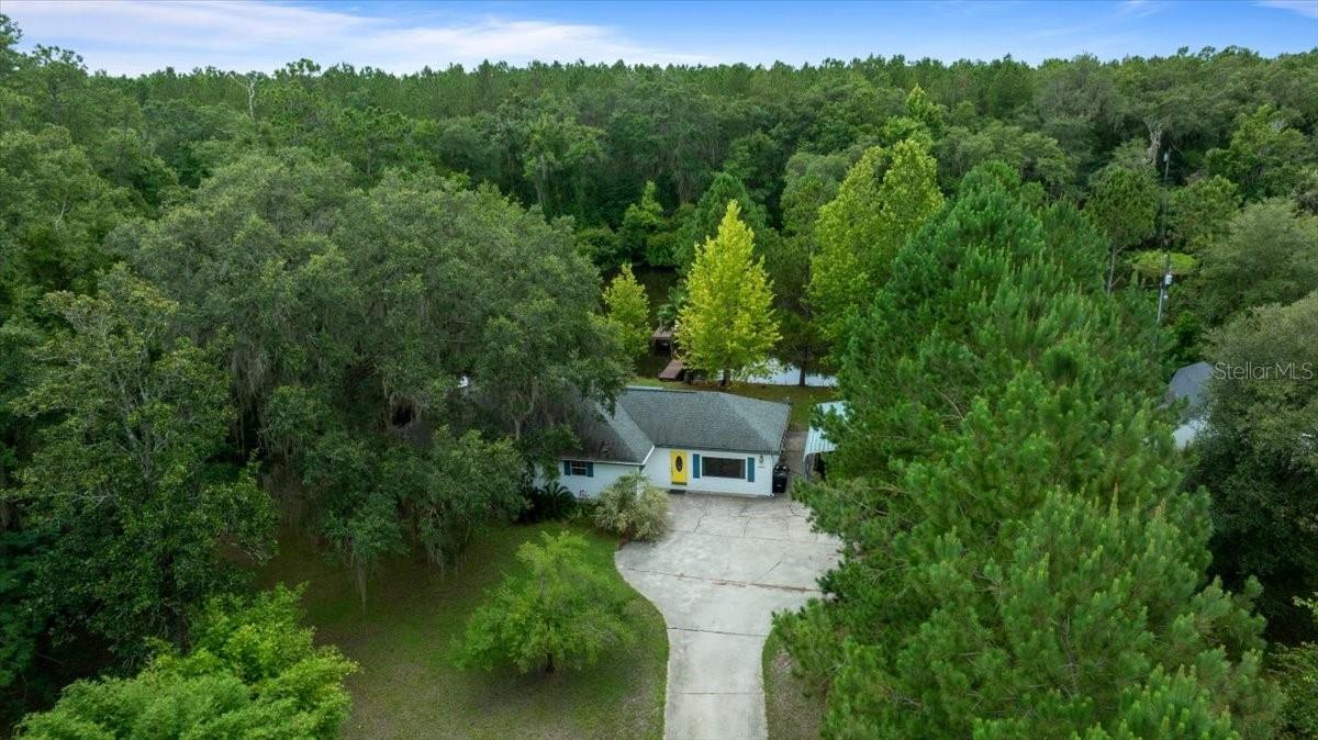 203 NW HWY 441, MICANOPY, FL, 32667