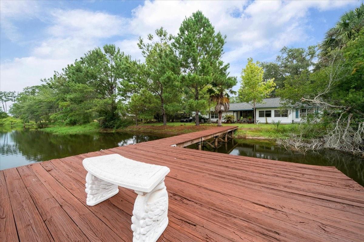 203 NW HWY 441, MICANOPY, FL, 32667