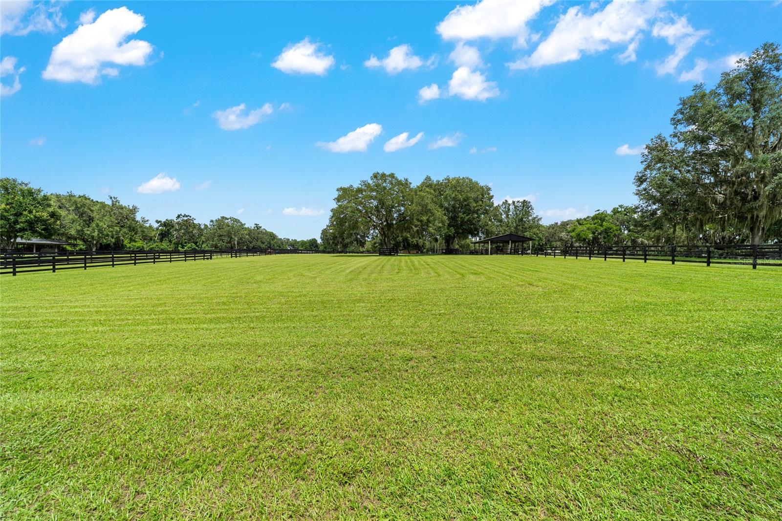 14650 NW 160TH AVE, WILLISTON, FL, 32696