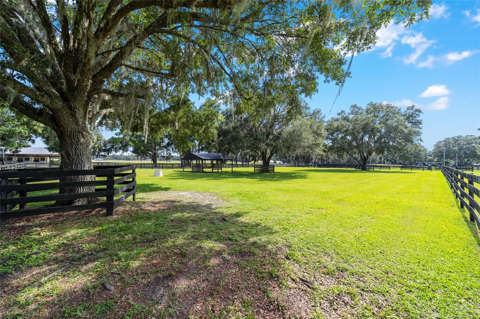 14650 NW 160TH AVE, WILLISTON, FL, 32696