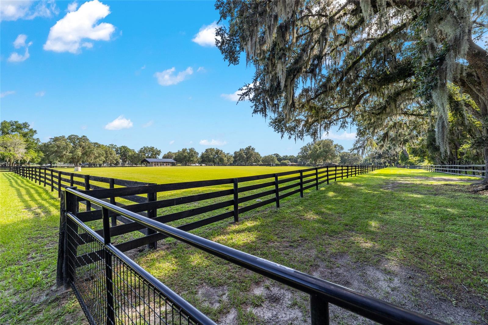 14650 NW 160TH AVE, WILLISTON, FL, 32696