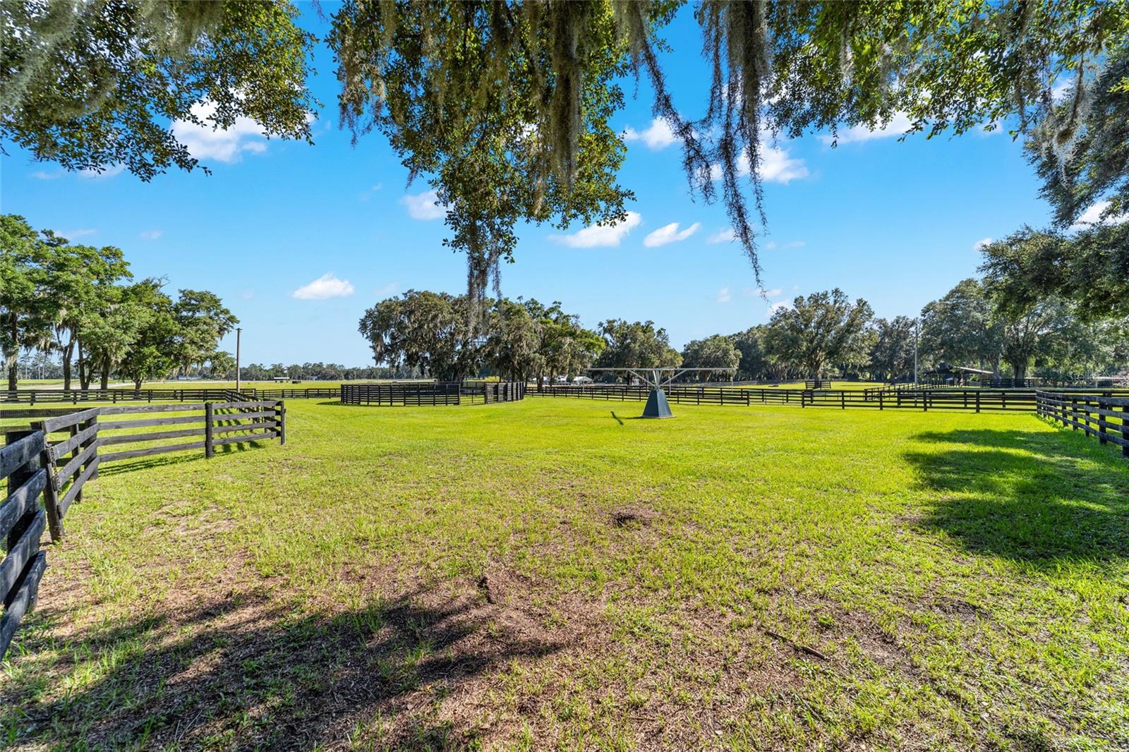 14650 NW 160TH AVE, WILLISTON, FL, 32696