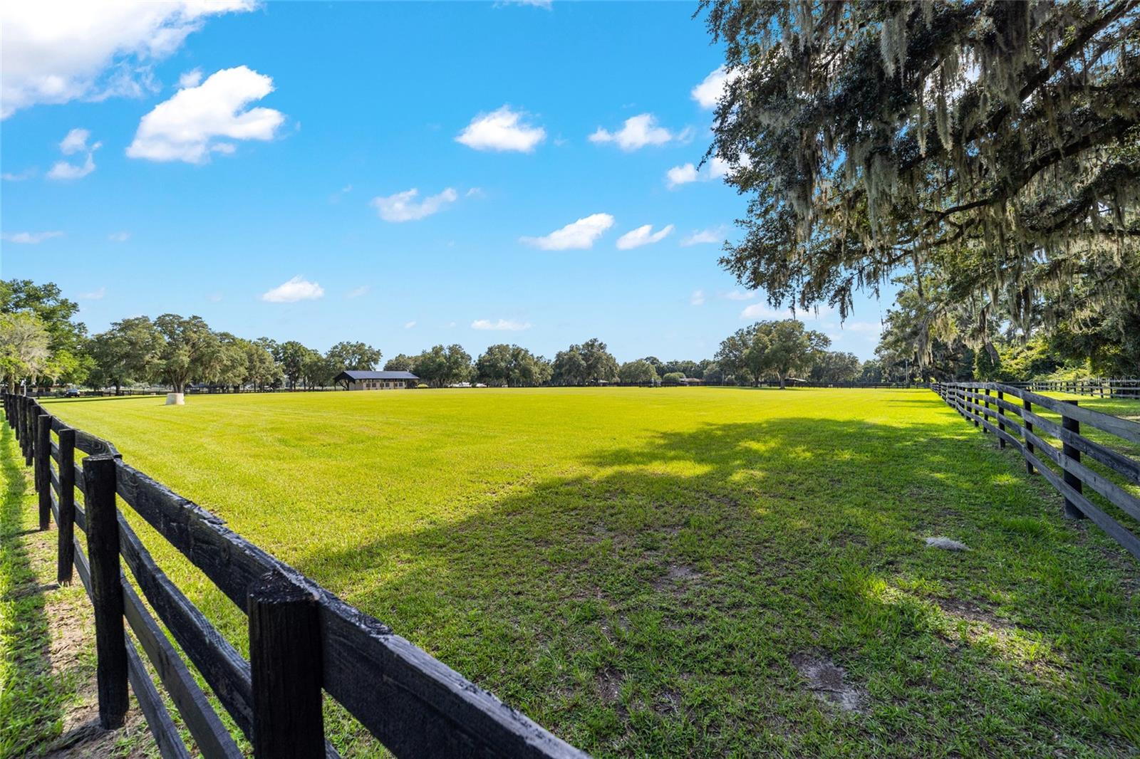 14650 NW 160TH AVE, WILLISTON, FL, 32696