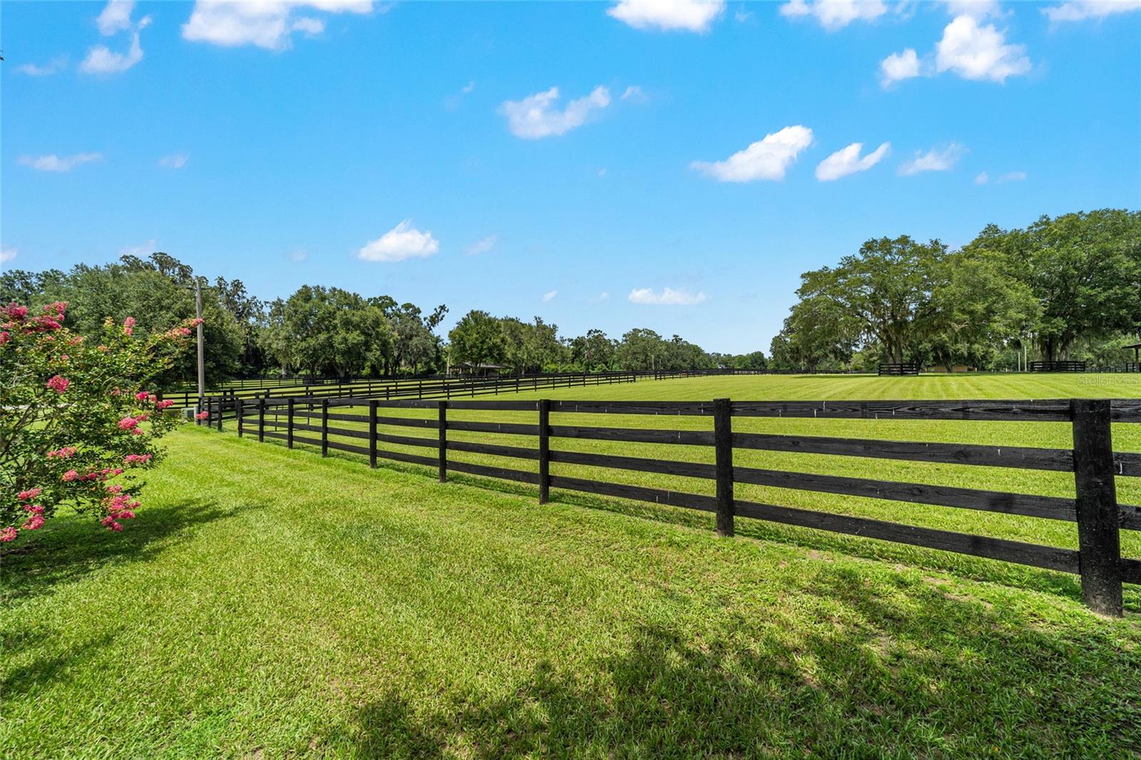 14650 NW 160TH AVE, WILLISTON, FL, 32696