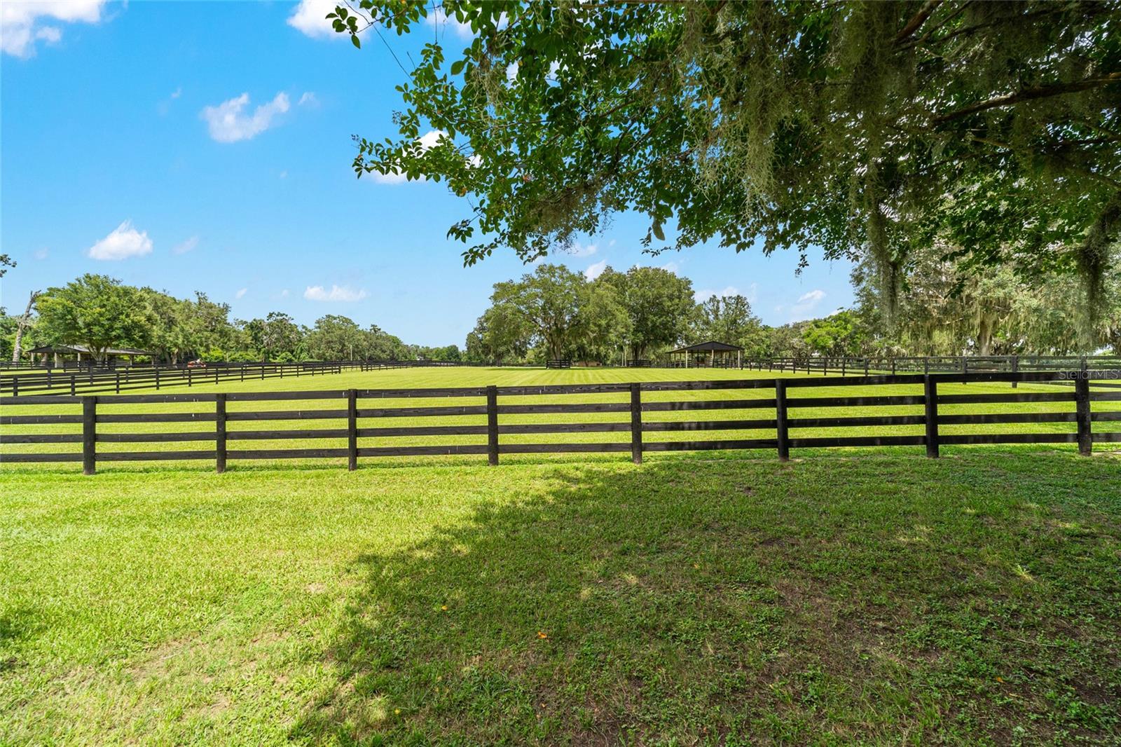 14650 NW 160TH AVE, WILLISTON, FL, 32696