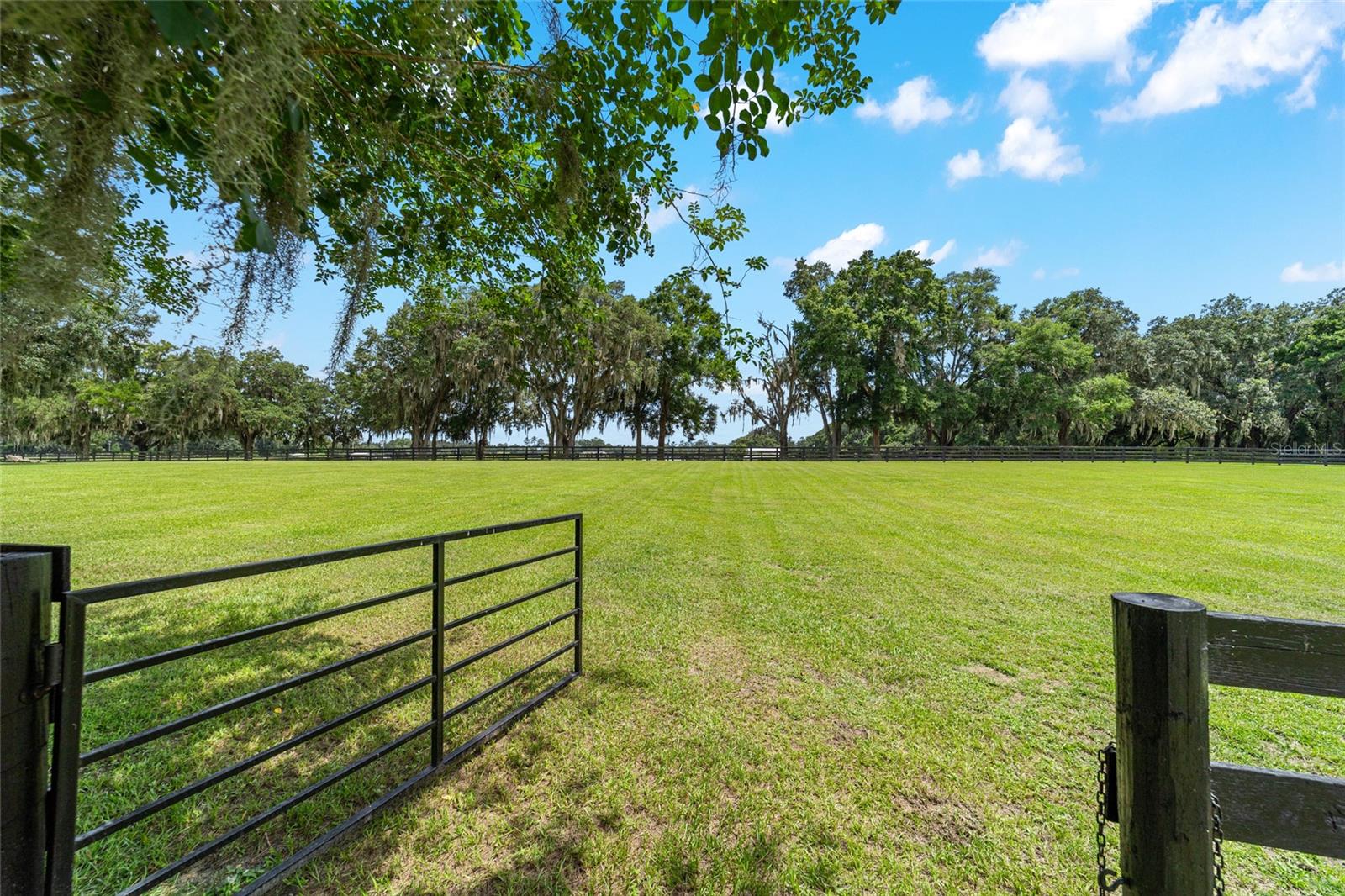 14650 NW 160TH AVE, WILLISTON, FL, 32696