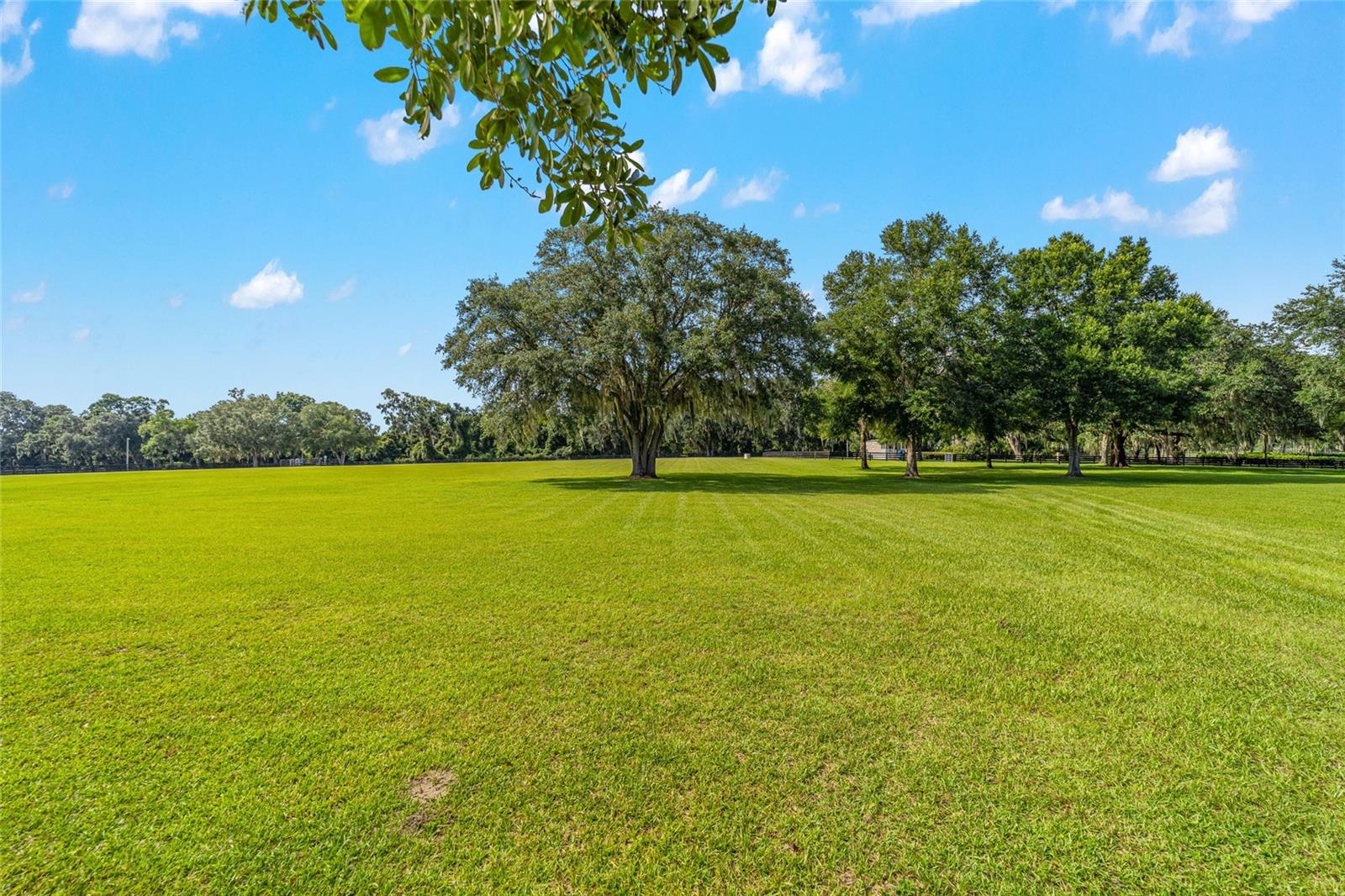 14650 NW 160TH AVE, WILLISTON, FL, 32696