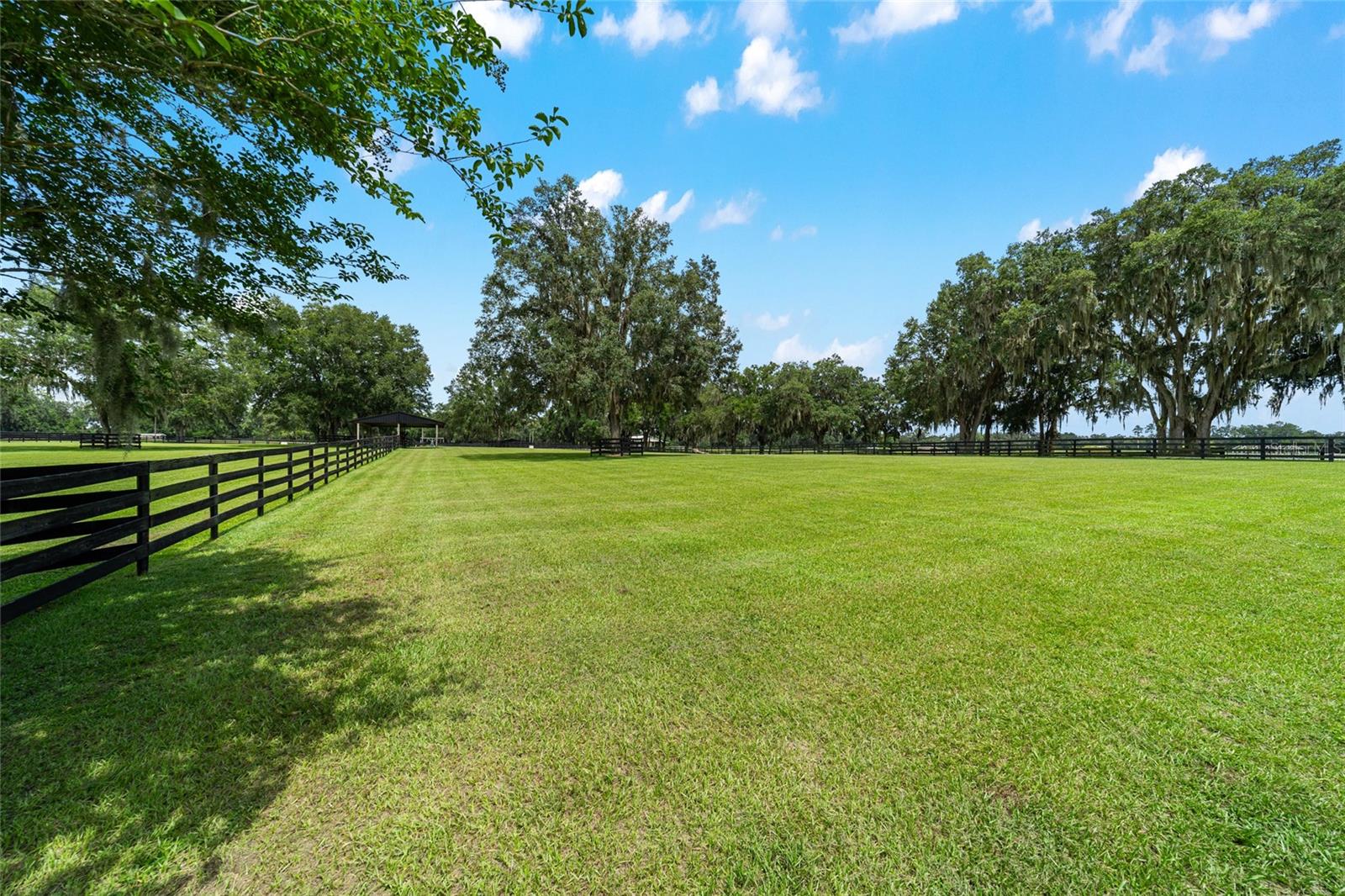 14650 NW 160TH AVE, WILLISTON, FL, 32696