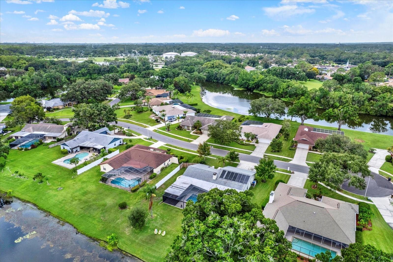 Aerial/Pond