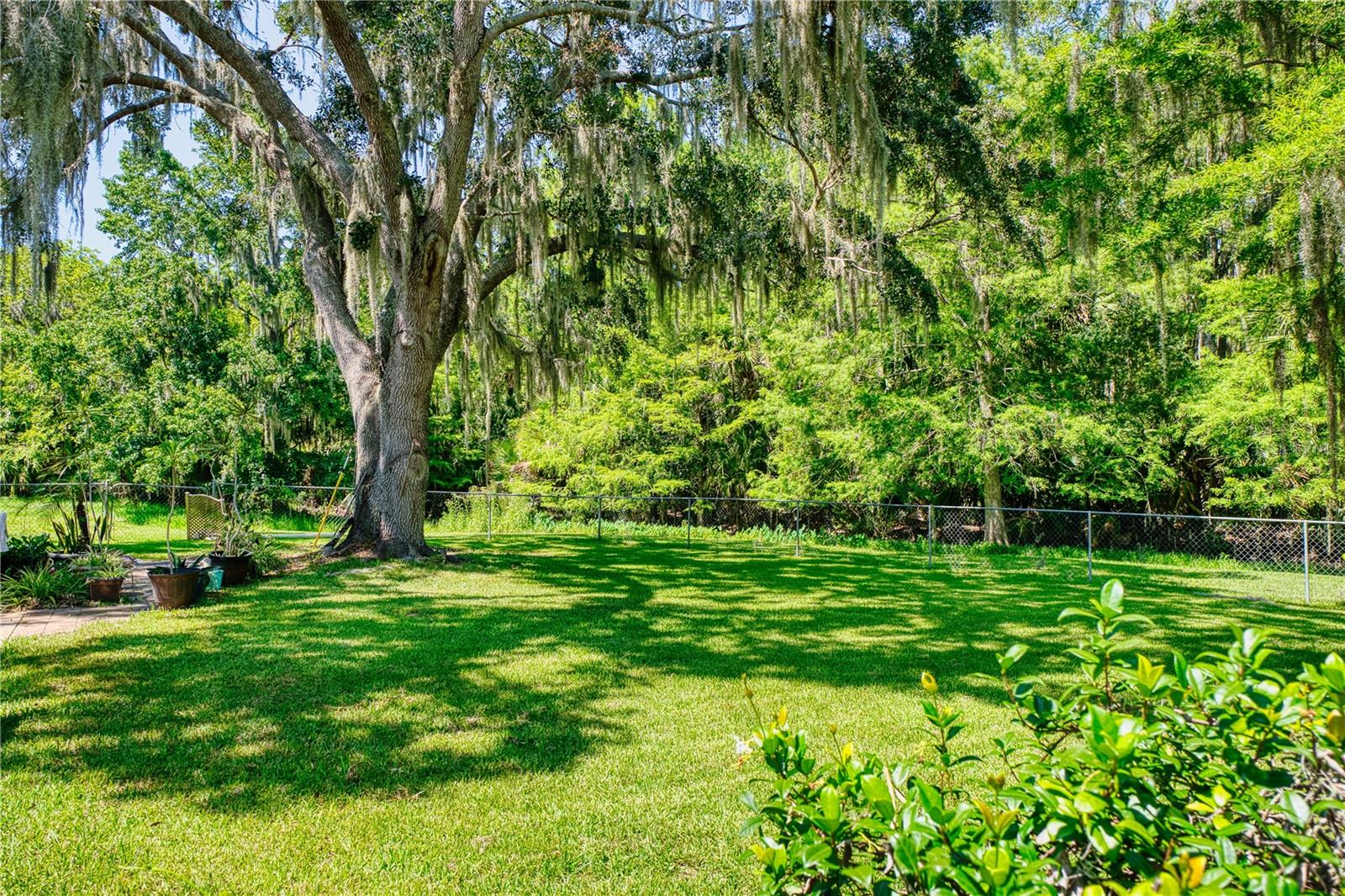 14 BLACK OAK CT, PALM COAST, FL, 32137