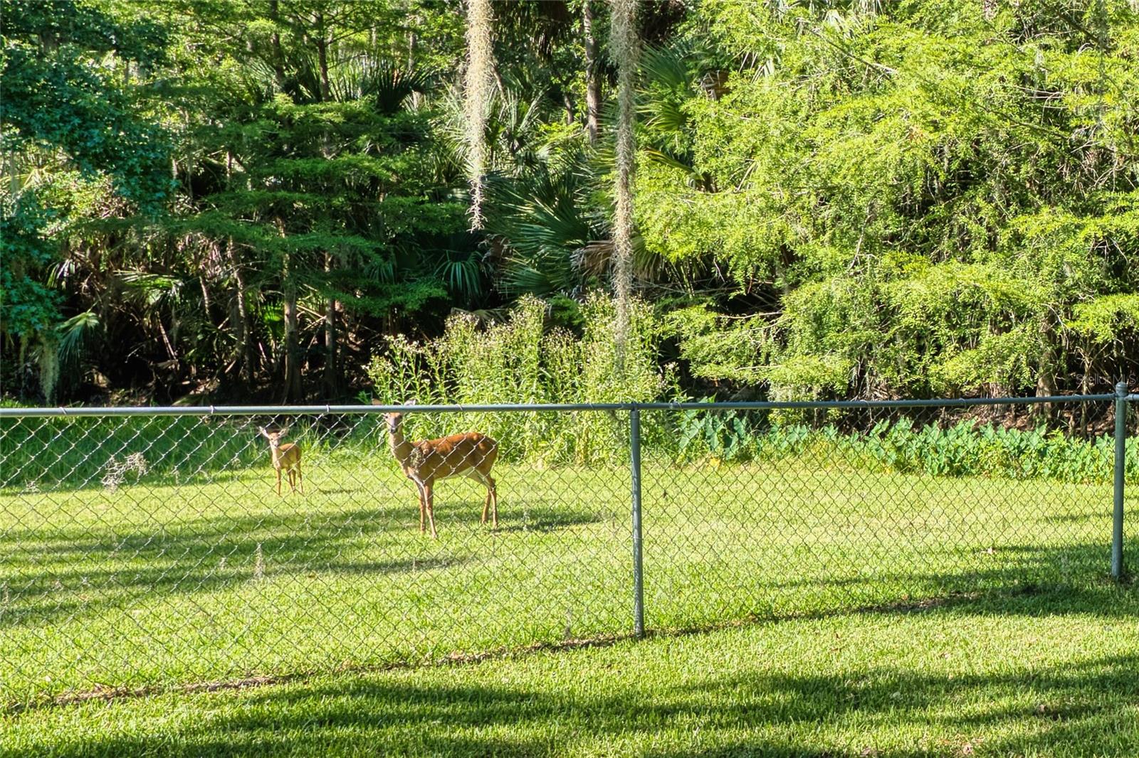 14 BLACK OAK CT, PALM COAST, FL, 32137