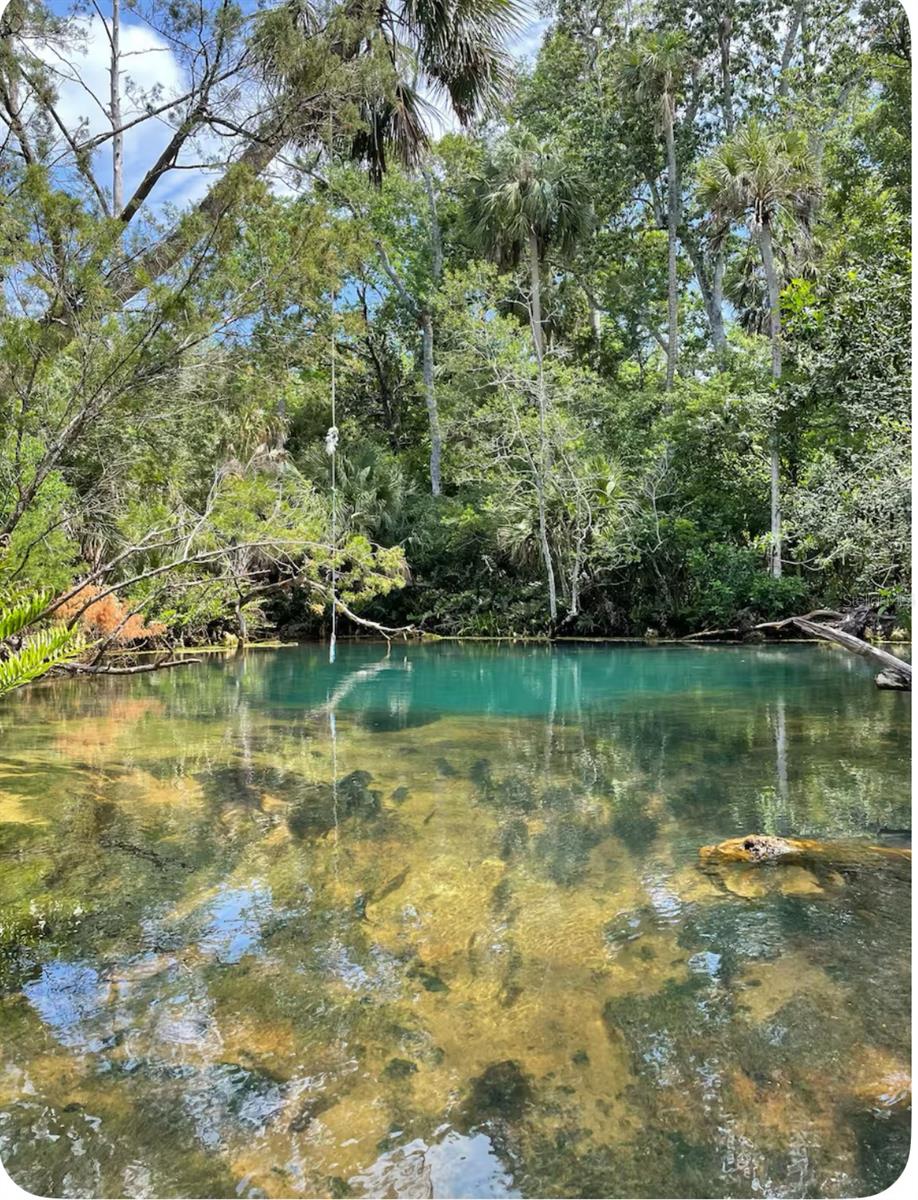 6245 ISLAND DR, WEEKI WACHEE, FL, 34607