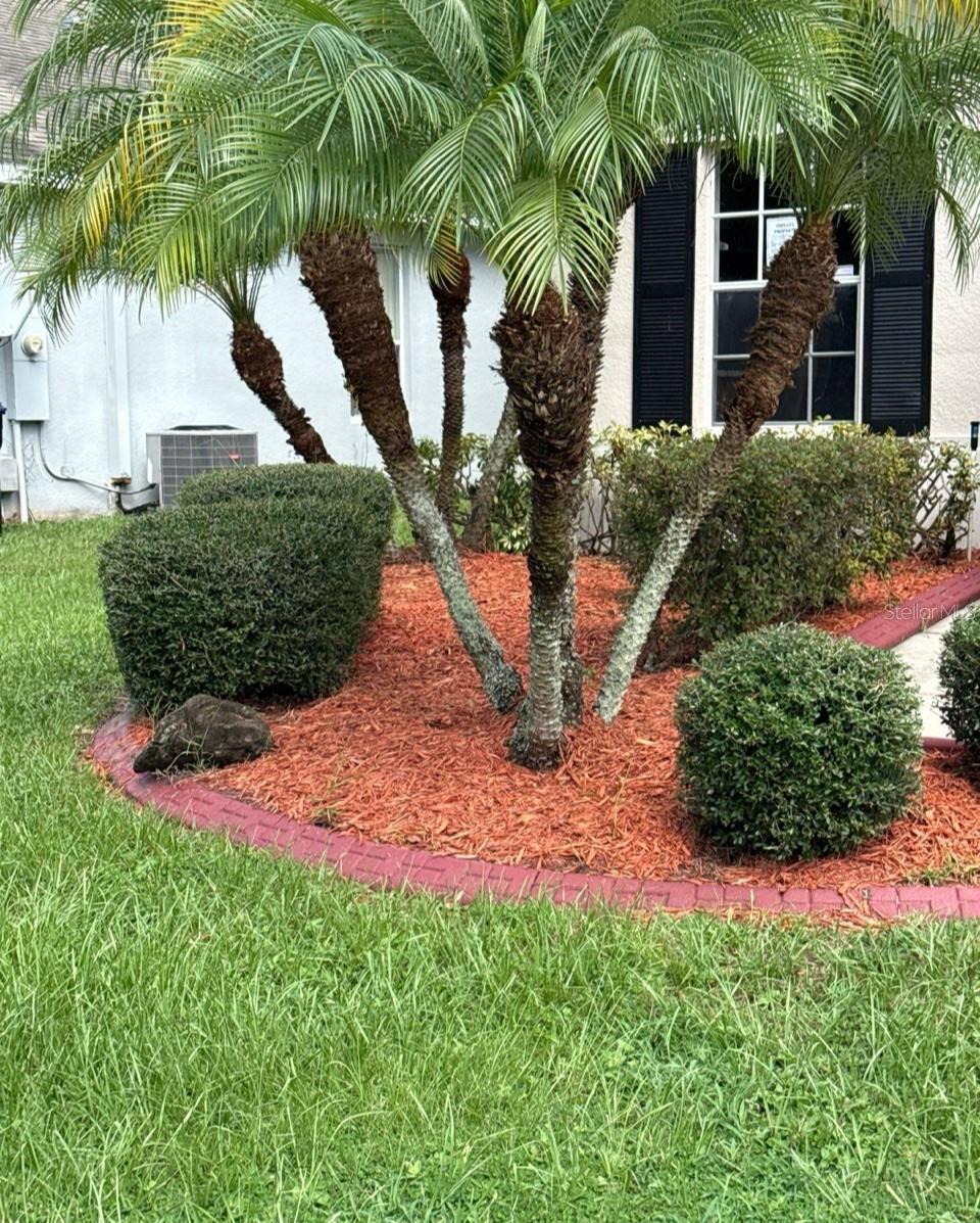 14515 HUNTCLIFF PARK WAY, ORLANDO, FL, 32824