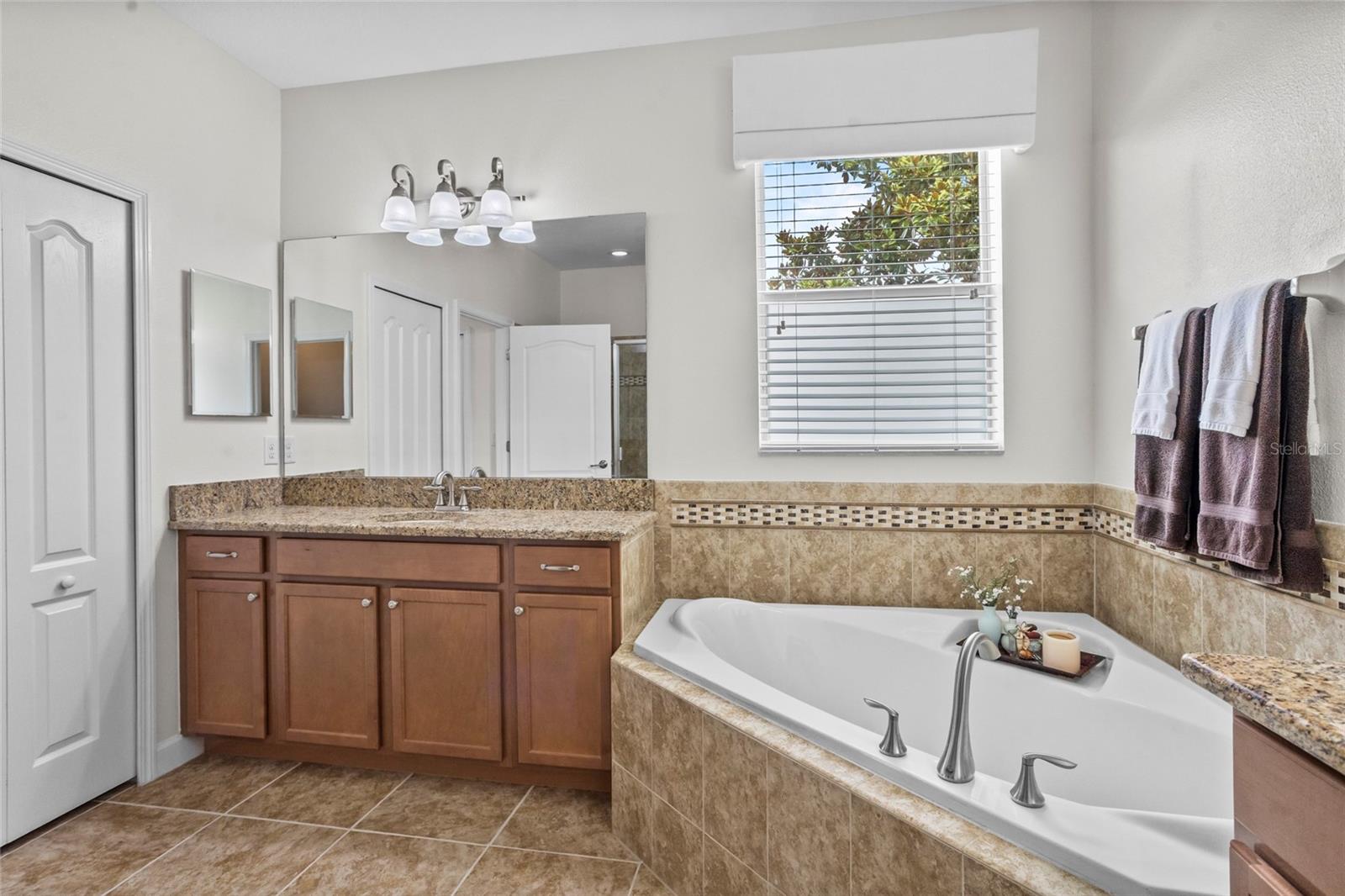 5723 TARLETON WAY, MOUNT DORA, FL, 32757