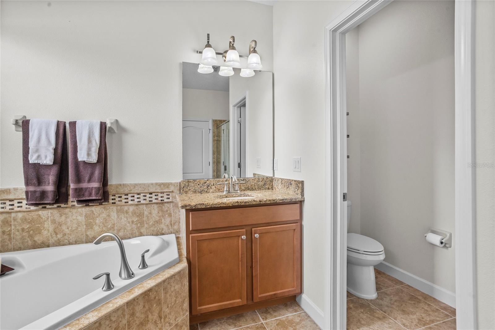 5723 TARLETON WAY, MOUNT DORA, FL, 32757