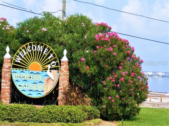 1701 PINEHURST RD #24B, DUNEDIN, FL, 34698