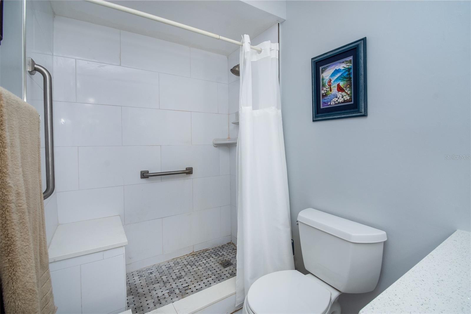 1701 PINEHURST RD #24B, DUNEDIN, FL, 34698