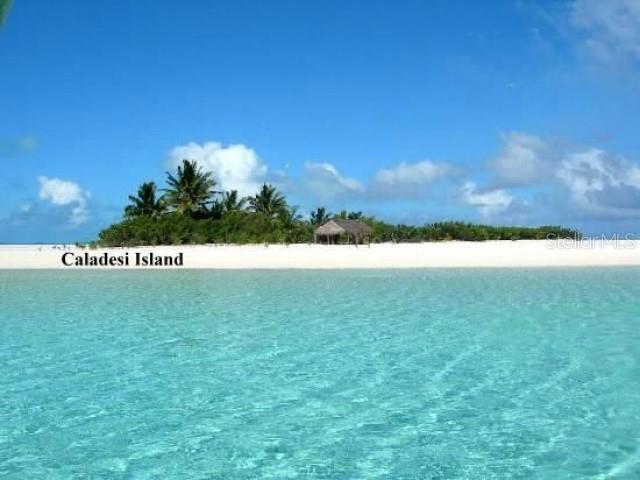 1701 PINEHURST RD #24B, DUNEDIN, FL, 34698