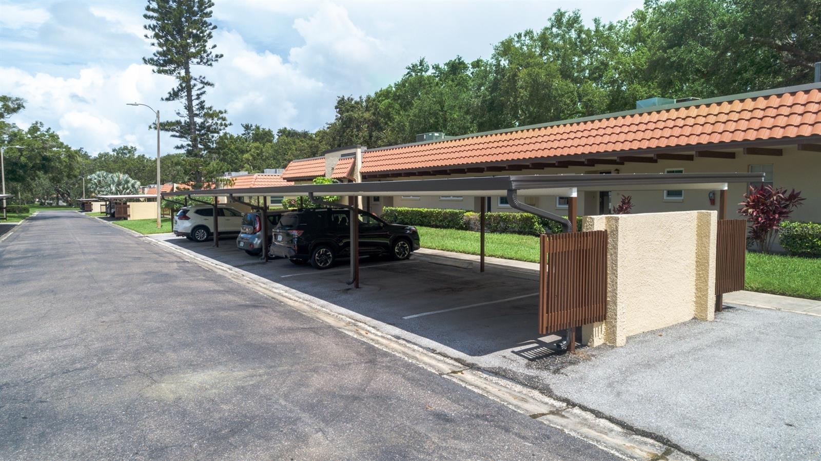 1701 PINEHURST RD #24B, DUNEDIN, FL, 34698