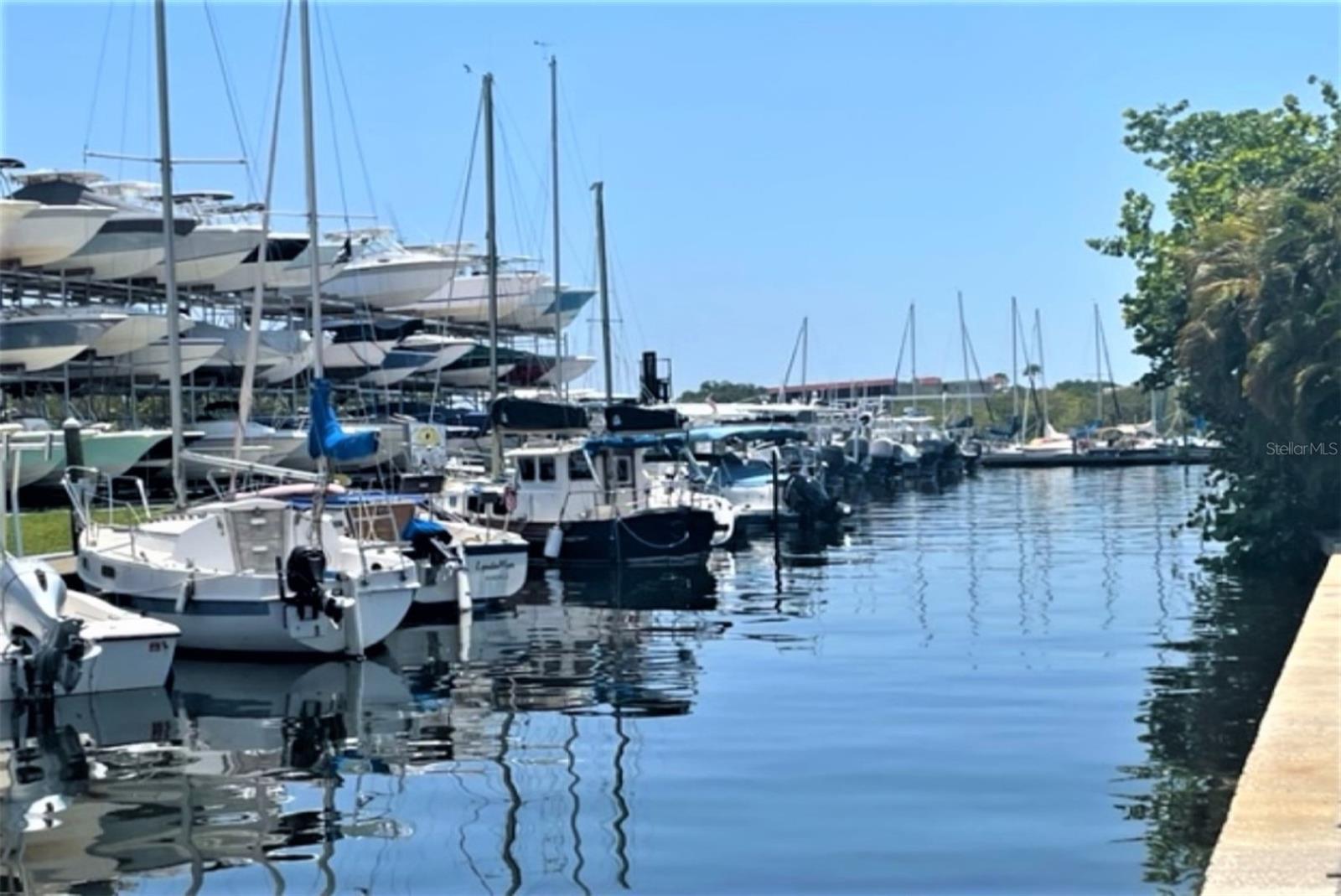 1701 PINEHURST RD #24B, DUNEDIN, FL, 34698