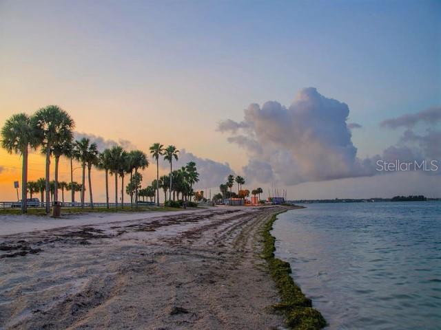 1701 PINEHURST RD #24B, DUNEDIN, FL, 34698