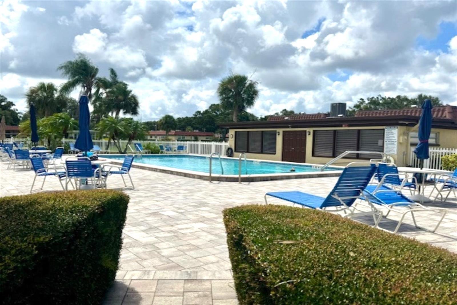 1701 PINEHURST RD #24B, DUNEDIN, FL, 34698