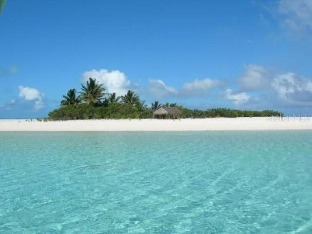 1701 PINEHURST RD #24B, DUNEDIN, FL, 34698