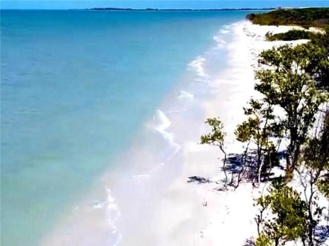 1701 PINEHURST RD #24B, DUNEDIN, FL, 34698