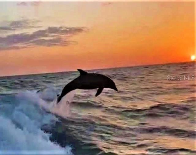 1701 PINEHURST RD #24B, DUNEDIN, FL, 34698