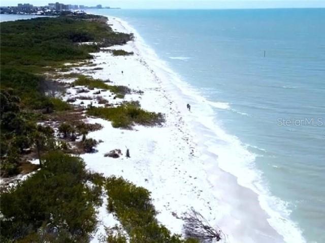 1701 PINEHURST RD #24B, DUNEDIN, FL, 34698