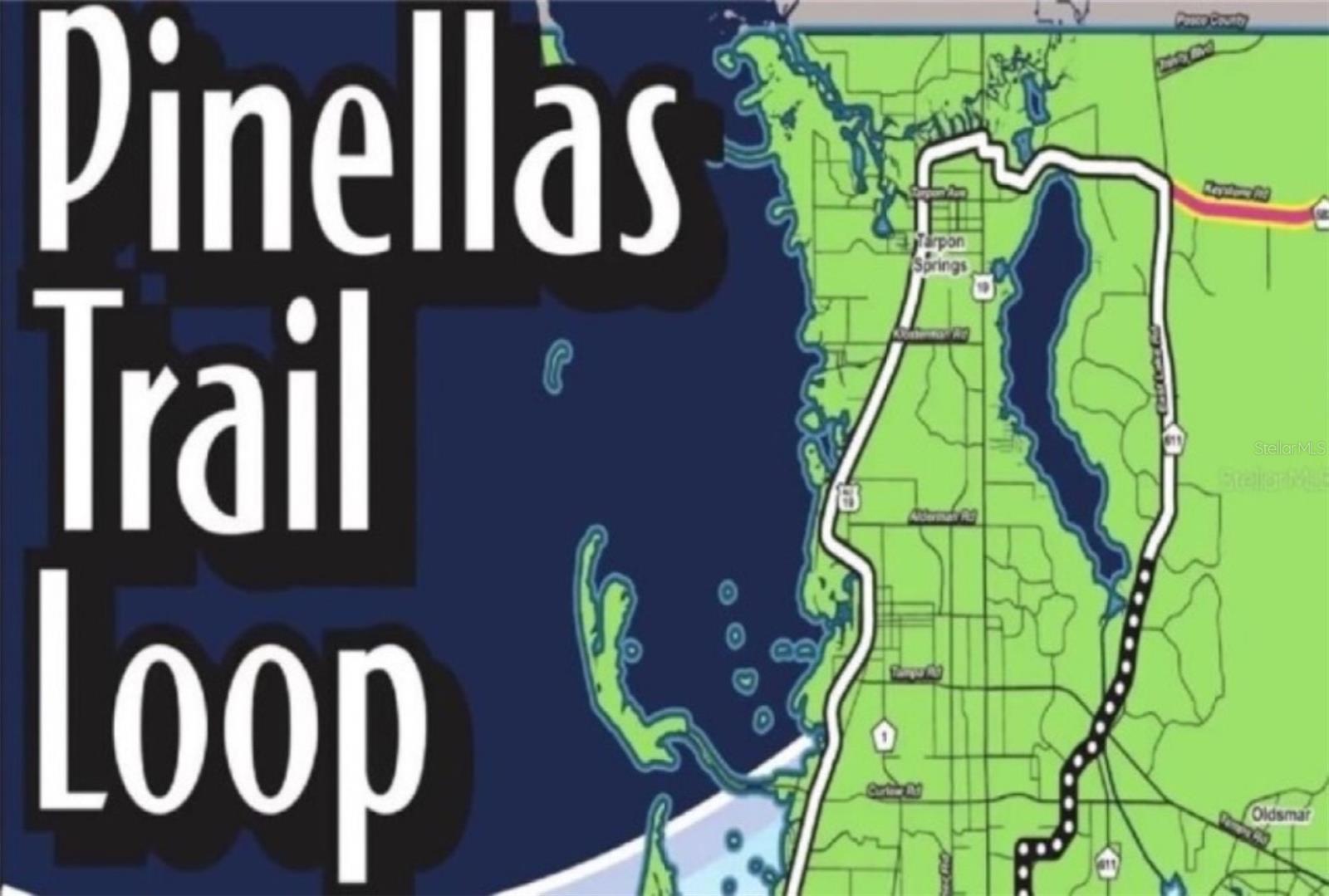 1701 PINEHURST RD #24B, DUNEDIN, FL, 34698