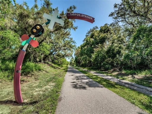 1701 PINEHURST RD #24B, DUNEDIN, FL, 34698