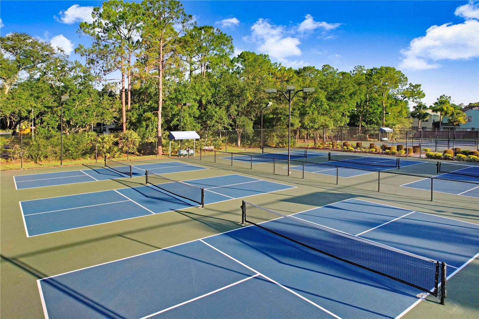 Pickleball Courts