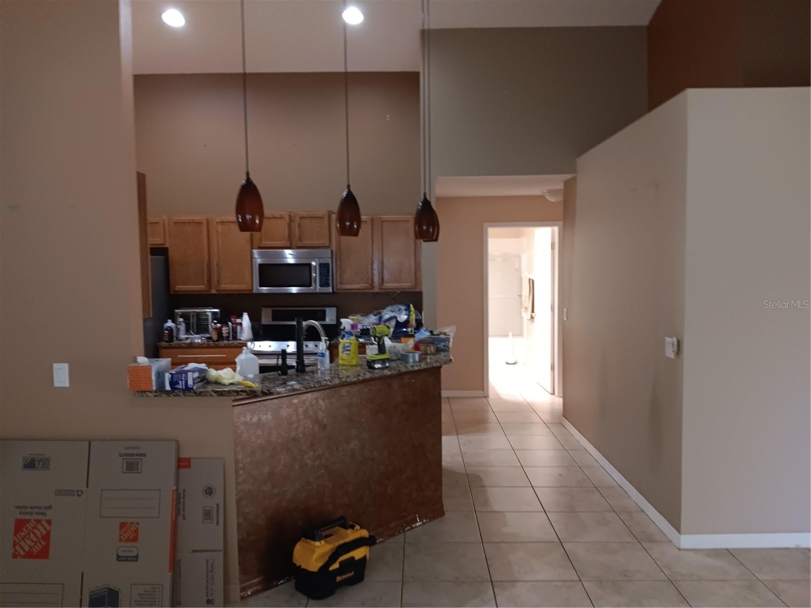 17205 DEER RUN DR, ORLANDO, FL, 32820