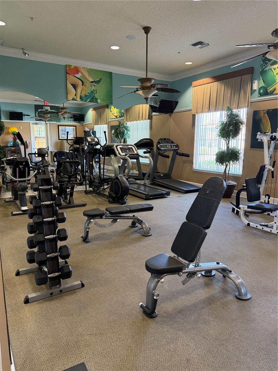 163 TIGERLILY CT, DAVENPORT, FL, 33837