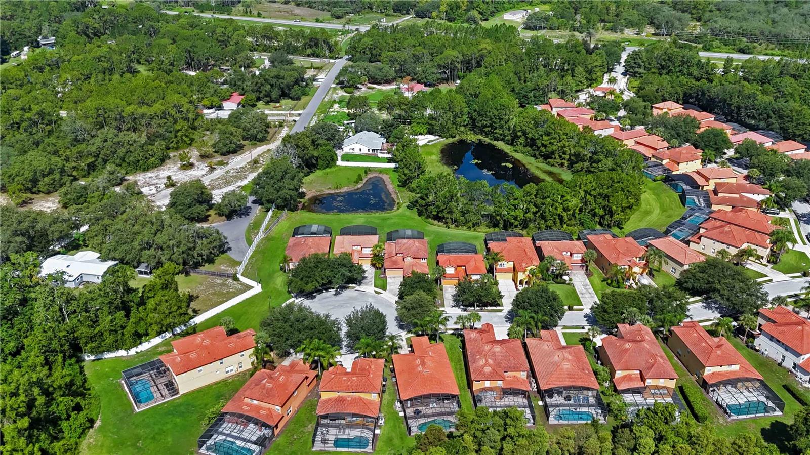 163 TIGERLILY CT, DAVENPORT, FL, 33837