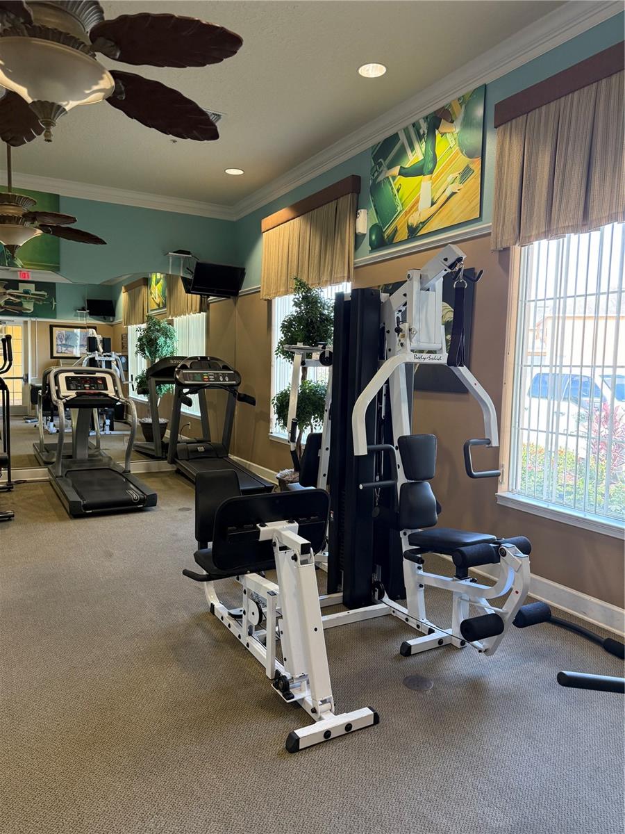 163 TIGERLILY CT, DAVENPORT, FL, 33837